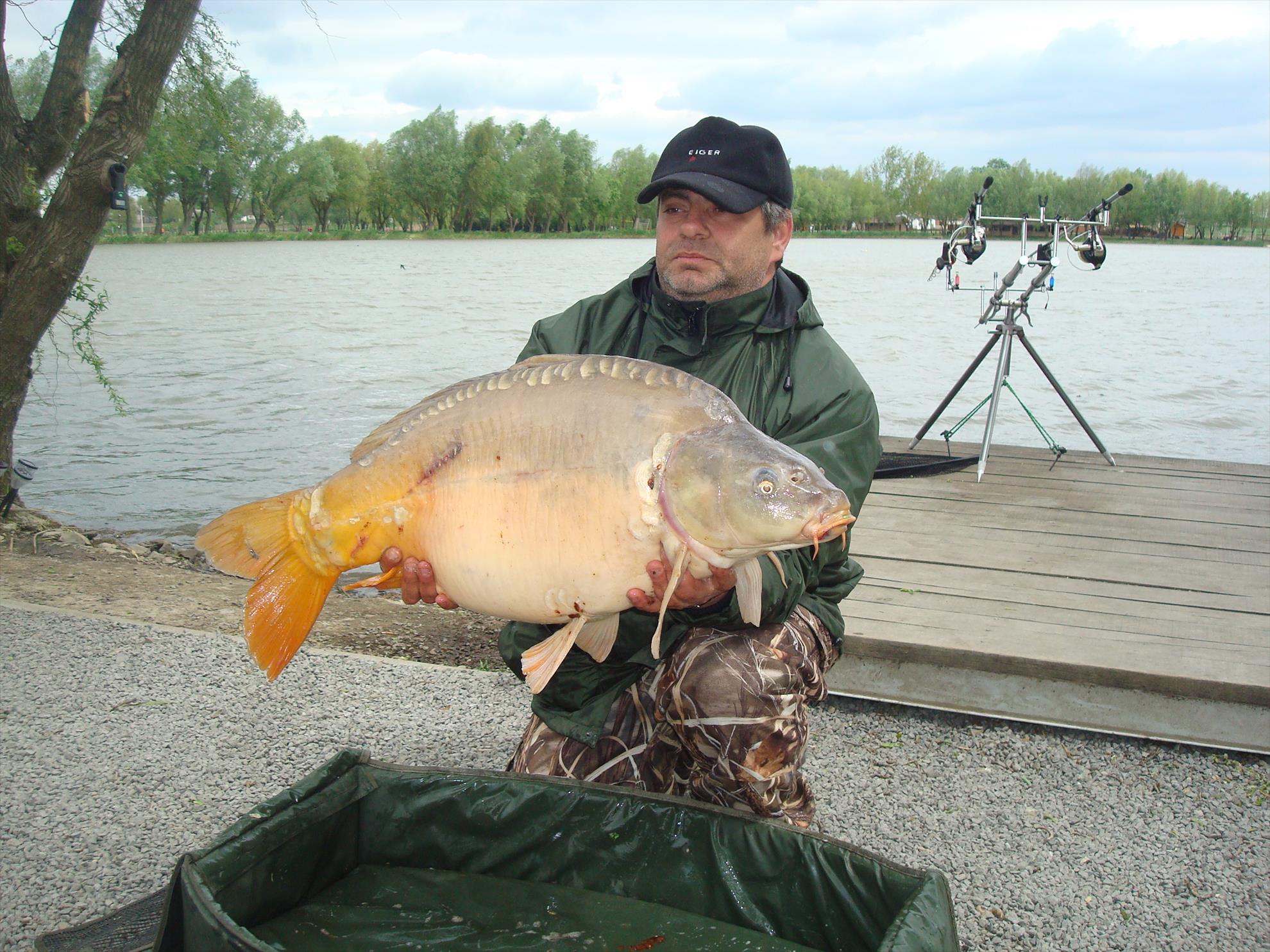 pescuit pe o balta superba - dsc07554.JPG